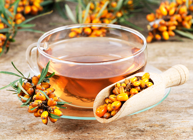 3 рецепта согревающих напитков: чай с облепихой, черной смородиной и эвкалиптом