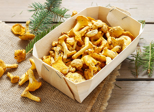 5 рецептов с грибами: от ризотто с опятами до жареного картофеля с боровиками